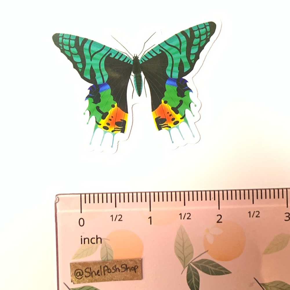 Butterfly Vinyl Sticker - Picture 2 of 2